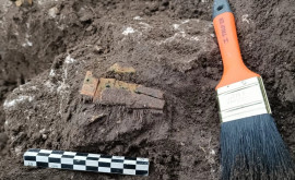 Descoperire la Butuceni Arheologii au găsit un pieptene cu o vechime de 1600 de ani