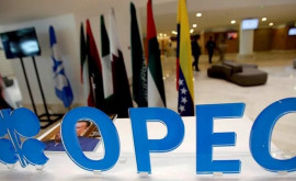 Ce au convenit țările OPEC 