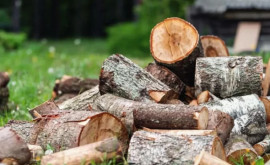 Четверть граждан отапливающихся дровами или углем не получат компенсаций