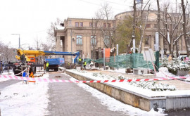 În scuarul Mihai Eminescu din capitală vor avea loc lucrări silvotehnice