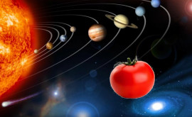 Астронавты нашли потерянный в космосе помидор 