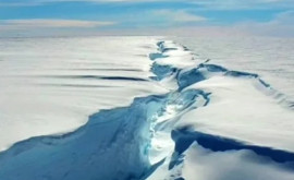 Таяние самого большого ледника в Антарктиде стало угрожающе необратимым
