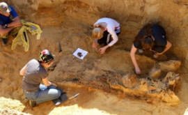 Arheologii au găsit o diademă neobișnuită