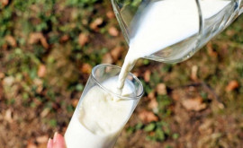 Bolea Piața Republicii Moldova se confruntă cu un deficit mare de lapte