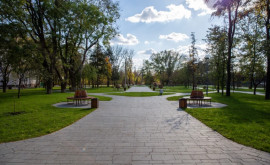Жители Ставчен смогут погулять в современном парке