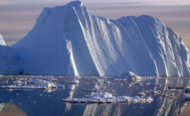 Стали известны причины аномального тепла в Антарктике