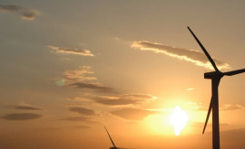 UE a construit un număr record de parcuri eoliene