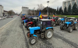 Fermierii cer explicații de la autorități Sîntem solidari cu poporul ucrainean dar nu cu prețul falimentului nostru