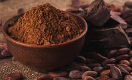 Prețurile la cacao au înregistrat un nou maxim istoric