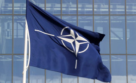 Фаворитом гонки на пост главы НАТО является один из действующих премьерминистров
