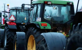 В Польше фермеры готовятся к большому протесту 