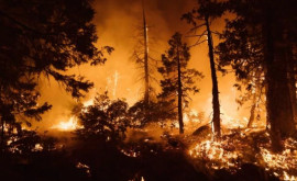 Изза лесных пожаров в Колумбии объявили стихийное бедствие 