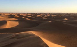 Покрытие пустыни Сахара солнечными батареями вновь озеленит её и изменит климат Земли
