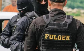 В бригаде Fulger пропали патроны