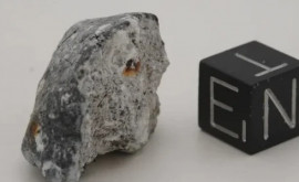 У Берлинского метеорита оказалась уникальная структура 