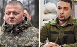 Zalujnîi și Budanov au devenit eroi
