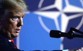 Vor rămîne SUA în NATO în cazul unei victorii a lui Trump 