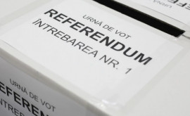 Opinii organizarea referendumului comportă multe riscuri