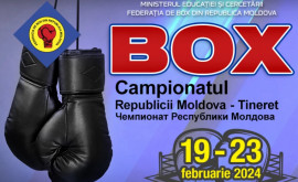 La Bălți va avea loc Campionatul de box al Moldovei pentru tineret