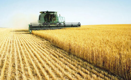 Protestele fermierilor Bolea și Recean anunțată o nouă măsură pentru crescătorii de cereale