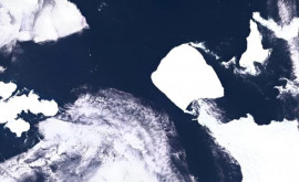 Крупнейший на Земле айсберг совершил в дрейфе полный оборот 