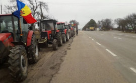 Сельхозпроизводители вновь вышли на протесты