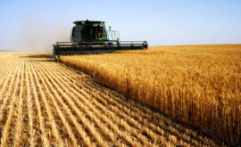 Cereri de acordare a sprijinului financiar pentru agricultori precizările AIPA