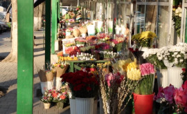 Serviciul Fiscal de Stat va monitoriza florăriile și Horeca de Ziua Femeii