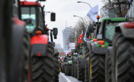 Польские фермеры не смогли договориться с правительством