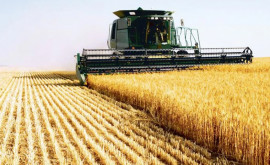 Cîți producători de cereale au solicitat împrumuturi agricole urgente
