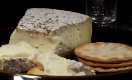 De ce tulpina mucegaiului pentru brînzeturile nobile Brie și Camembert este în pericol de dispariție