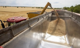 Deputaţii europeni vor să limiteze importurile de cereale din Ucraina