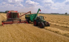 В Молдове запускается новый инструмент кредитования аграриев 