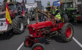 Европа в протестах фермеры не намерены останавливаться