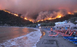 Греция больше не допустит пожаров Страна решила изменить подход 