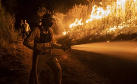 Pompierii luptă cu disperare împotriva incendiilor în Mexic
