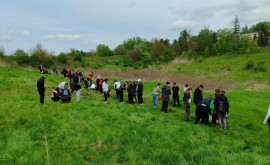 Protejarea mediului Cum șiau adus contribuția elevii din Rîșcani