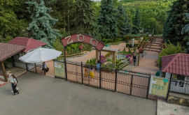Programul de activitate al Grădinei Zoologice din Chișinău în zilele libere din luna mai 