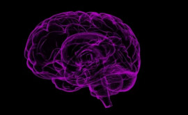 Oamenii de știință au descoperit noi funcții ale cerebelului