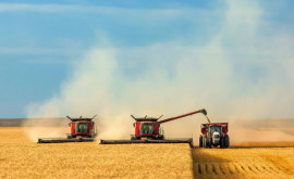 Cîte cereri pentru Creditul Agricol de Urgență au fost aprobate în Moldova