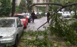 Urmările ploii de ieri în capitală Cum au intervenit serviciile municipale 