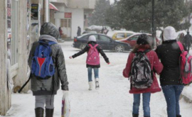 Сколько школ закрыты изза мороза
