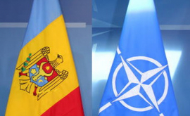 Cine va conduce Biroul de legătură al NATO la Chișinău 