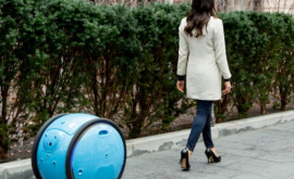 В Италии создали круглого роботаносильщика ВИДЕО
