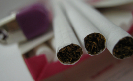 НKC по контролю над табаком принял План действий на 2017 год
