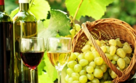 Celebritati despre vinul moldovenesc FOTO
