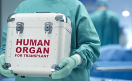 Новое в технологии трансплантации органов