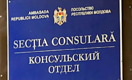 Mai mulți migranți moldoveni vor trebui săși perfecteze pașaport alb FOTO VIDEO