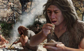 Неандертальцы могли использовать природные антибиотики и аспирин