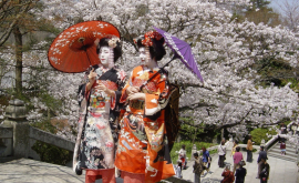 Săptămîna culturii japoneze la Chișinău